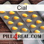 Cial cialis2